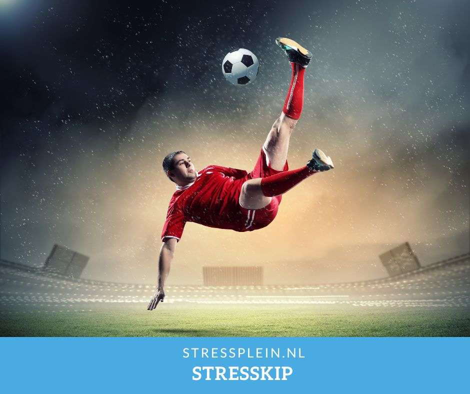 Stresskip | Stressplein