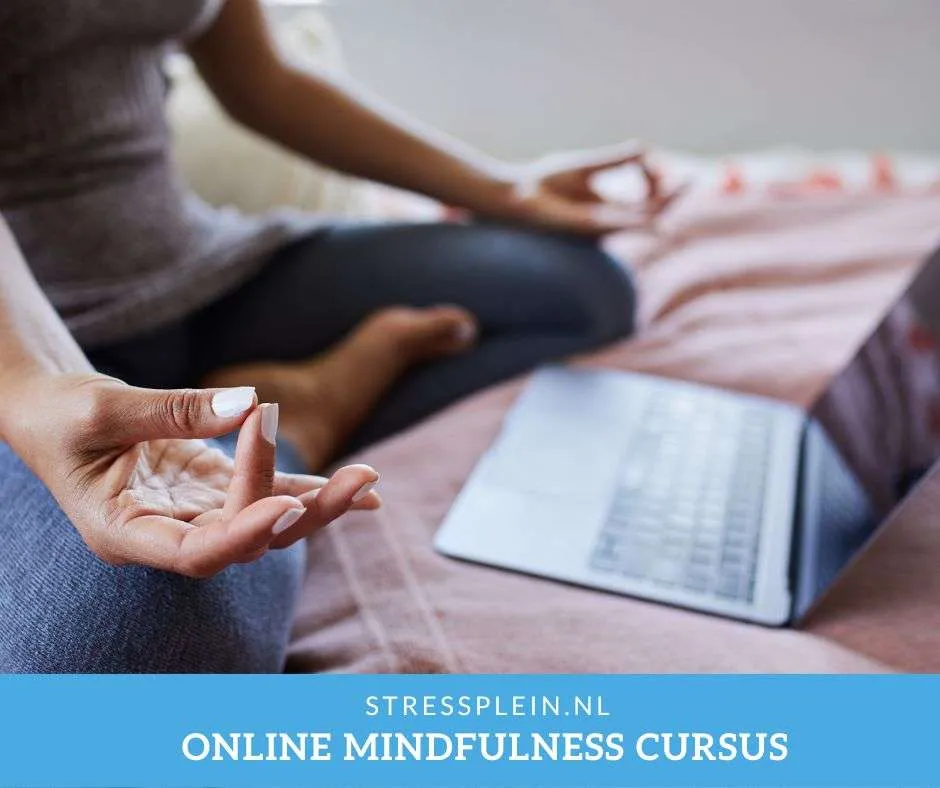 Online mindfulness cursus zeer effectief