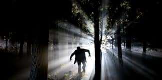 Monsters uit het bos
