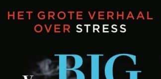 Boek Big bang tot burnout