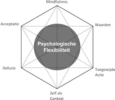 ACT-Hexaflex-Stressplein